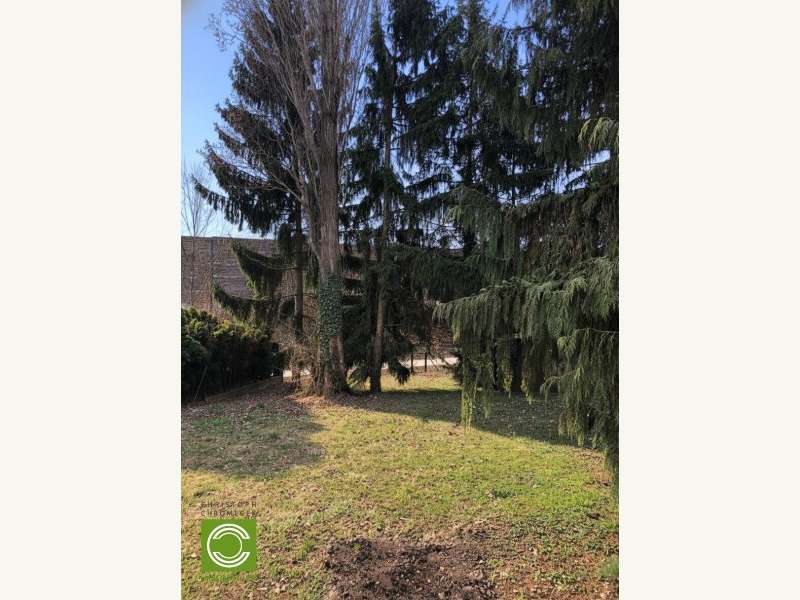 Baugrundstück in Gießhübl - Bild 9