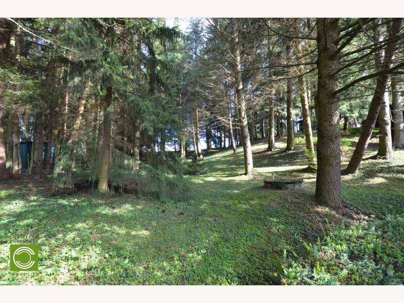 Landhaus in Sulz im Wienerwald - Bild 7