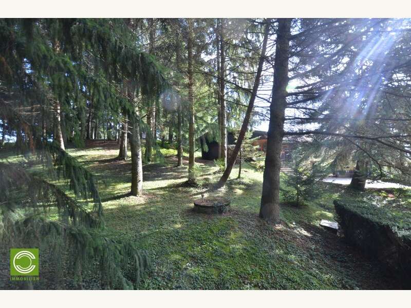 Landhaus in Sulz im Wienerwald - Bild 8