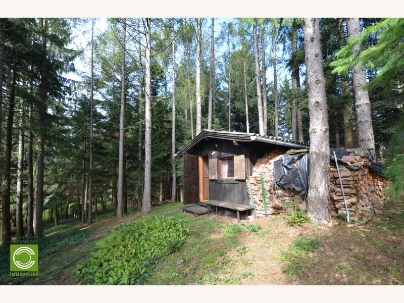 Landhaus in Sulz im Wienerwald - Bild 10