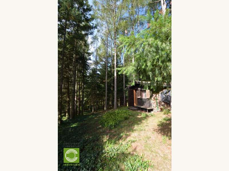 Landhaus in Sulz im Wienerwald - Bild 11