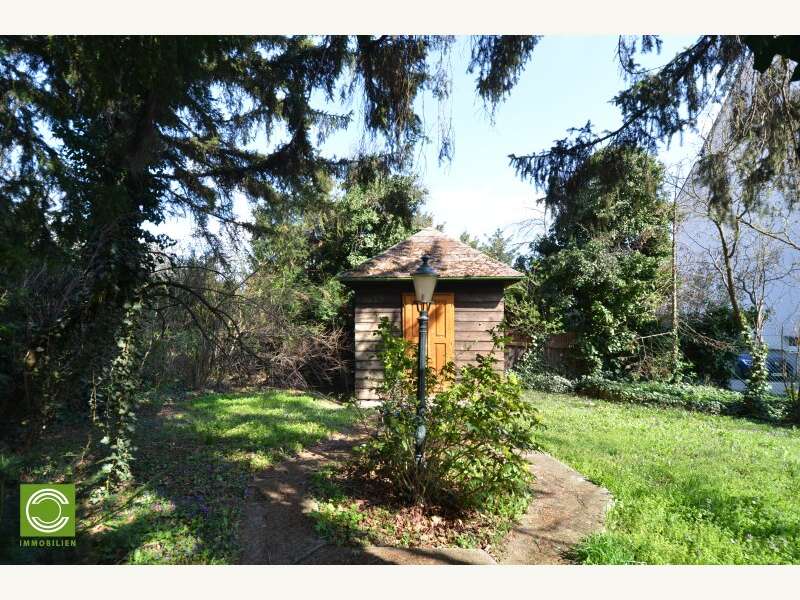 Einfamilienhaus in Perchtoldsdorf - Bild 6