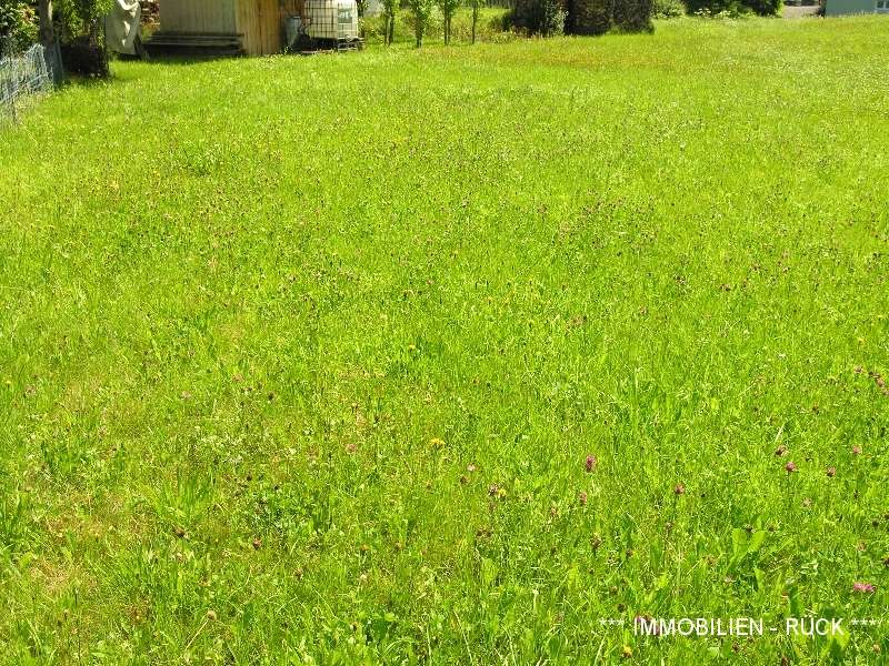 Photo_Homepage_02_Baugrundstueck_bzw_Baugrundstuecke_in_Umhausen_2021