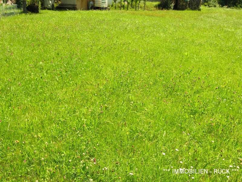 Photo_Homepage_03_Baugrundstueck_bzw_Baugrundstuecke_in_Umhausen_2021