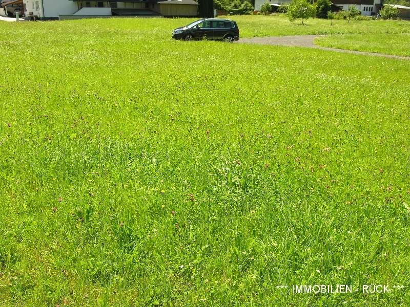 Photo_Homepage_04_Baugrundstueck_bzw_Baugrundstuecke_in_Umhausen_2021