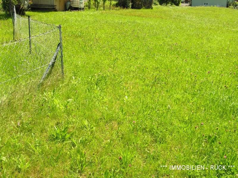 Photo_Homepage_05_Baugrundstueck_bzw_Baugrundstuecke_in_Umhausen_2021