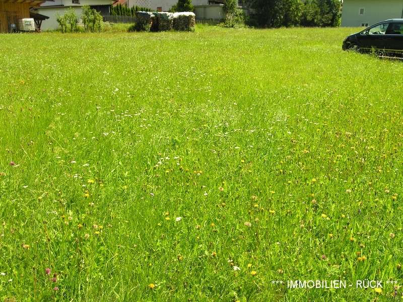 Photo_Homepage_06_Baugrundstueck_bzw_Baugrundstuecke_in_Umhausen_2021