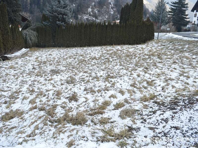 PHOTO_008_GRUNDSTUECKE_IN_SAUTENS