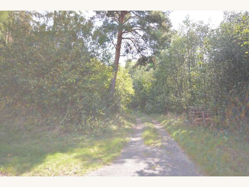 Landwirtschaftsgrund in Bergwerk - Bild 2 Landwirtschaftsgrund in Bergwerk - Bild 2