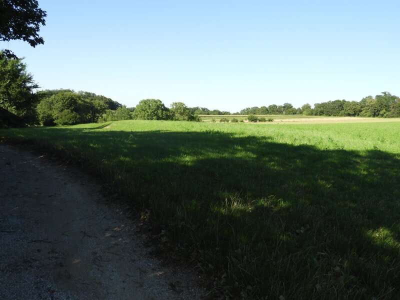 Mehrfamilienhaus in Schwarzau am Steinfeld - Bild 8