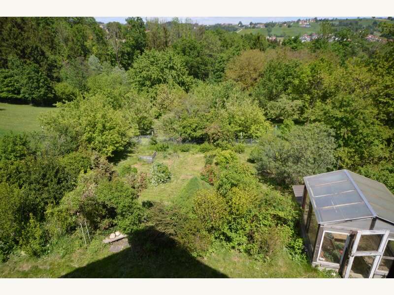 Einfamilienhaus Friedberg: Garten Garten
