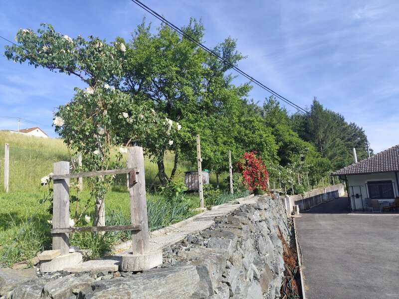 Einfamilienhaus Oberdorf im Burgenland: Steinmauer.l Rosengarten Steinmauer.l Rosengarten