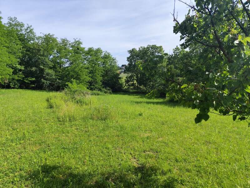 Einfamilienhaus Oberdorf im Burgenland: Garten Garten