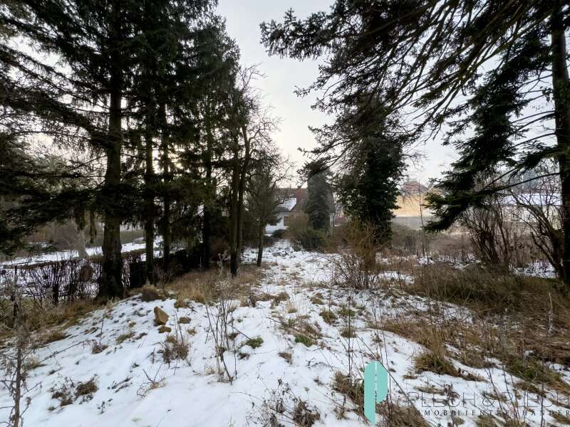 Grundstück in Gießhübl - Bild 4 Grundstück in Gießhübl - Bild 4