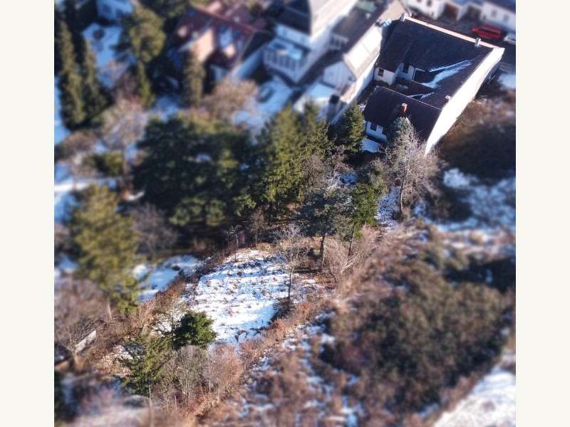 Haus in Gießhübl - Bild 3