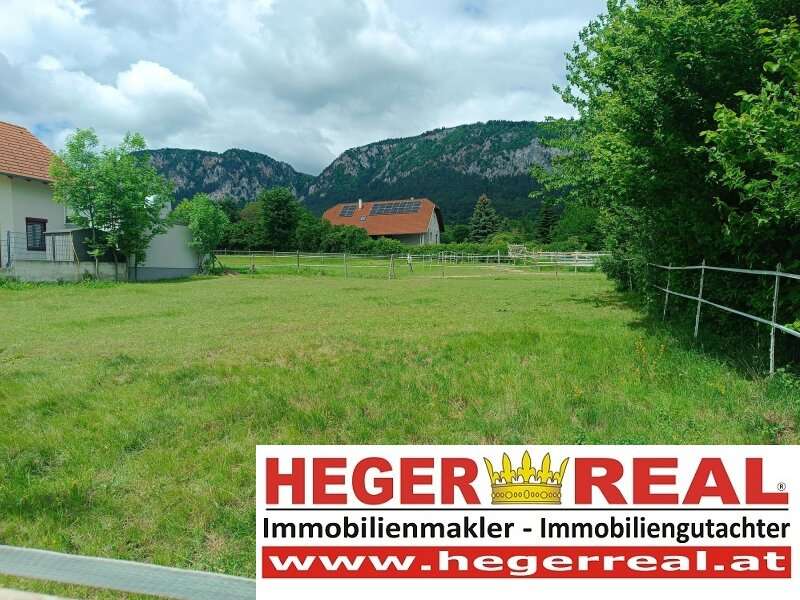 Grundstück in Maiersdorf - Bild 7 Grundstück in Maiersdorf - Bild 7