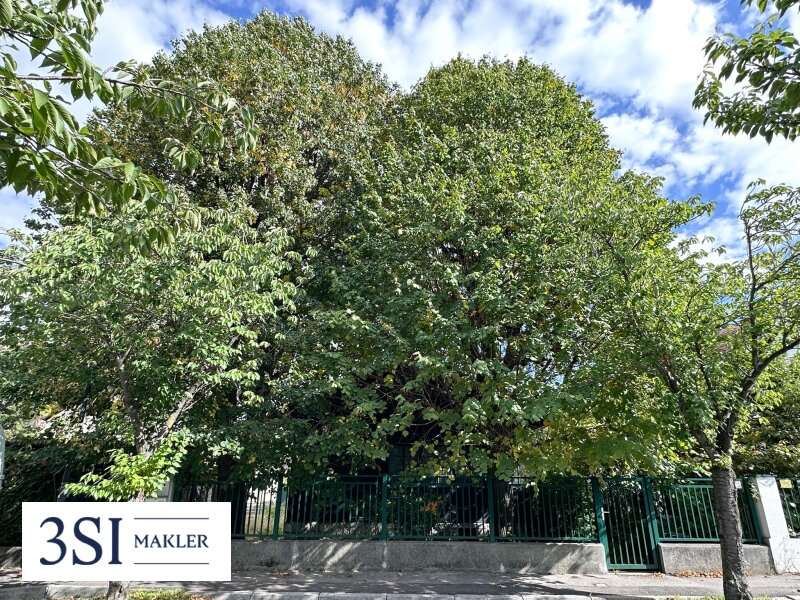 Baugrundstück in Wien - Bild 2