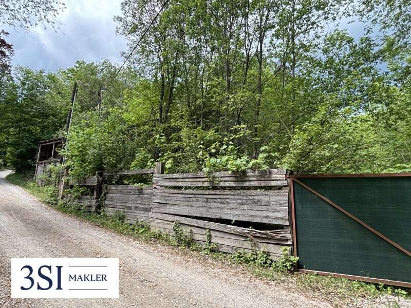 Grundstück in Kaltenleutgeben - Bild 4