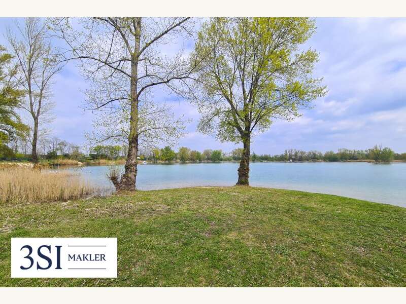 Seeliegenschaft in Unterwaltersdorf - Bild 5