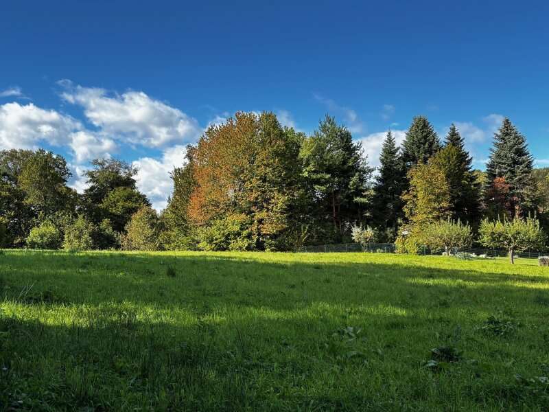 Baugrundstück in Klöch - Bild 2