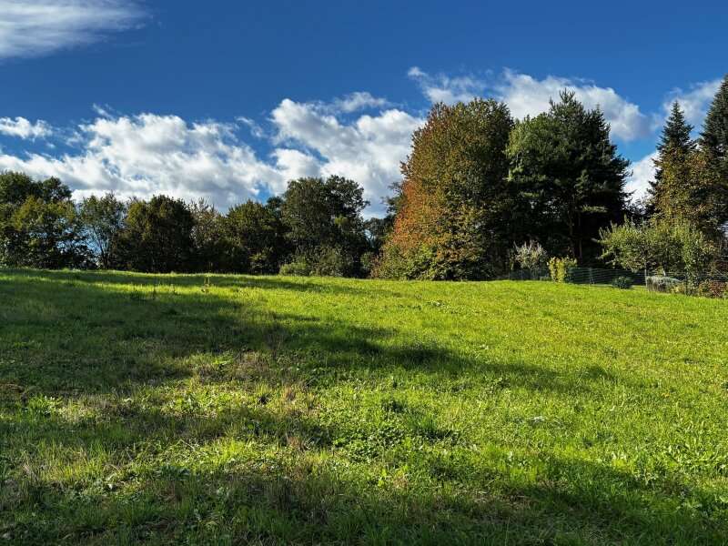Baugrundstück in Klöch - Bild 3