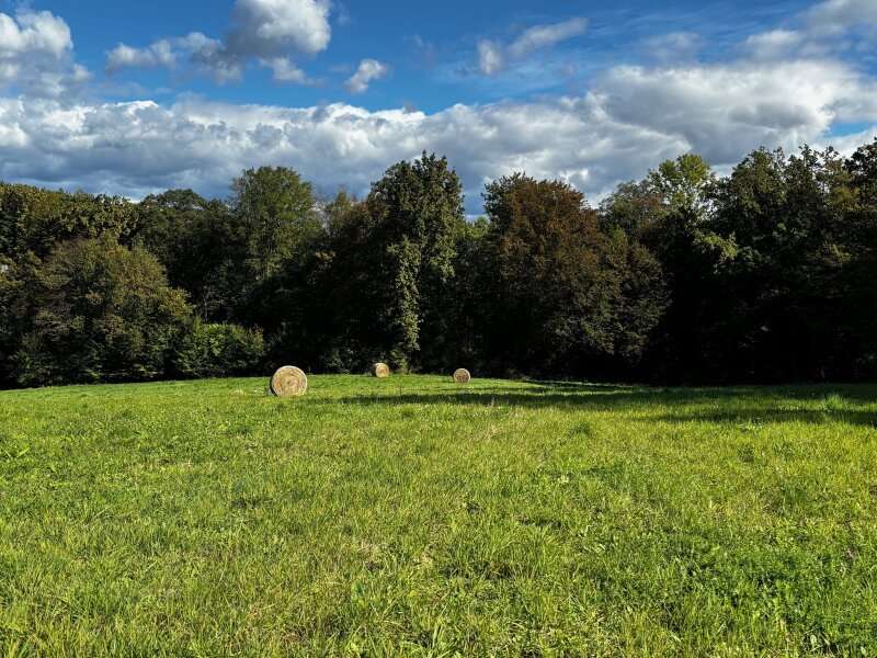 Baugrundstück in Klöch - Bild 4