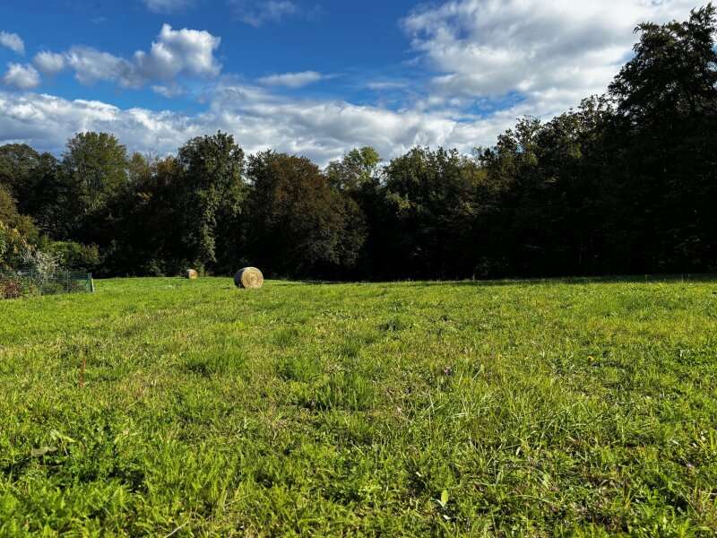 Baugrundstück in Klöch - Bild 5