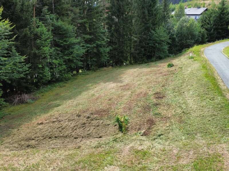 Baugrundstück in Strallegg - Bild 4 Baugrundstück in Strallegg - Bild 4