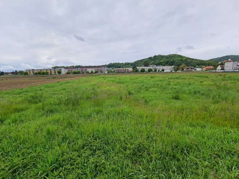 Baugrundstück in Graz - Bild 5