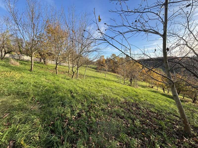 Landwirtschaftsgrund in Ruppersdorf - Bild 2 Landwirtschaftsgrund in Ruppersdorf - Bild 2