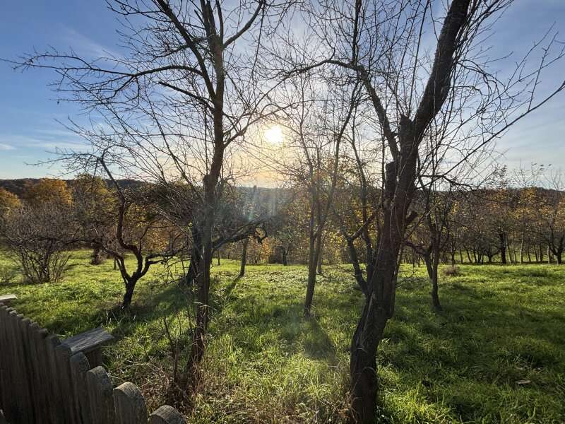 Landwirtschaftsgrund in Ruppersdorf - Bild 3 Landwirtschaftsgrund in Ruppersdorf - Bild 3
