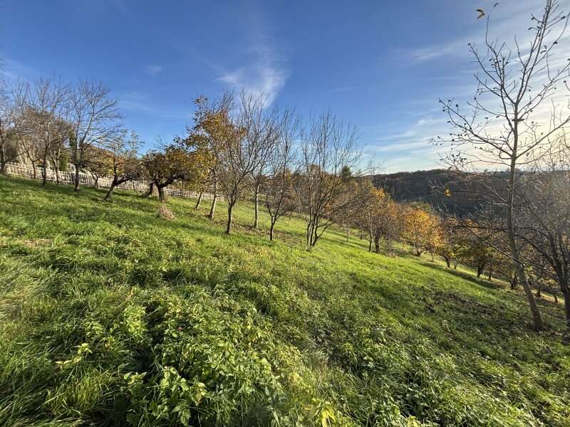Landwirtschaftsgrund in Ruppersdorf - Bild 4 Landwirtschaftsgrund in Ruppersdorf - Bild 4