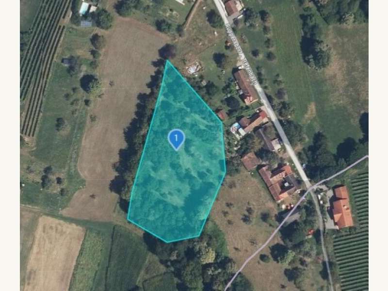 Landwirtschaftsgrund in Ruppersdorf - Bild 6 Landwirtschaftsgrund in Ruppersdorf - Bild 6