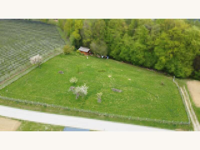 Landwirtschaftsgrund in Sankt Ruprecht an der Raab - Bild 3
