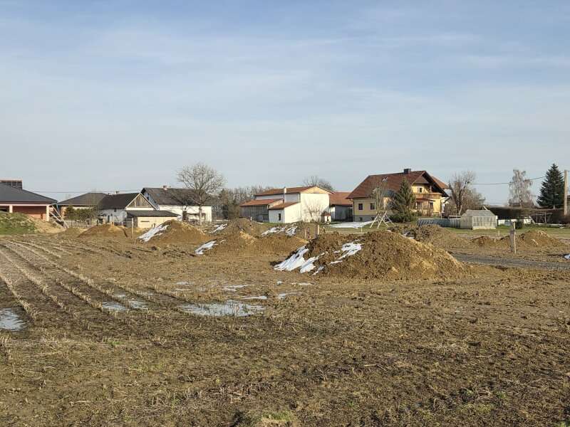 Baugrundstück in Deutsch Goritz - Bild 3