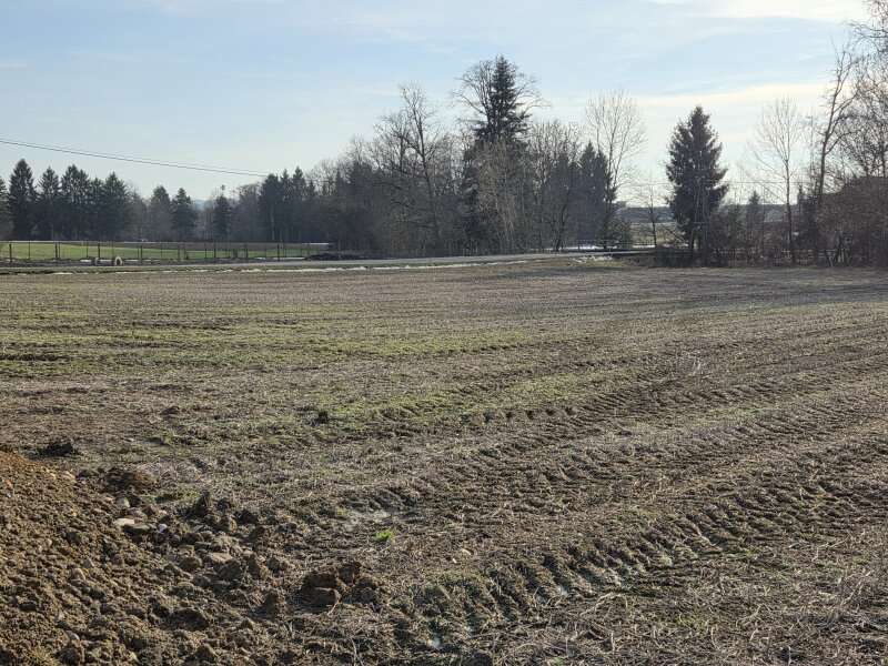 Baugrundstück in Deutsch Goritz - Bild 4