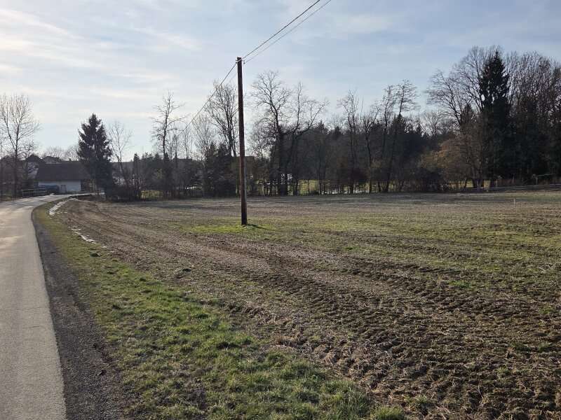 Baugrundstück in Deutsch Goritz - Bild 6