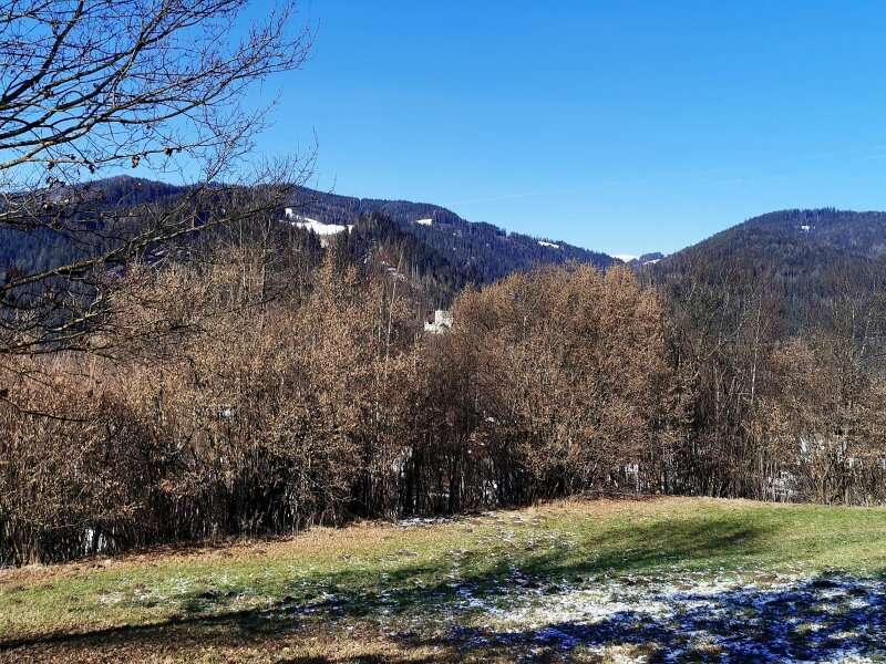 Landwirtschaftsgrund in Sankt Barbara im Mürztal - Bild 2