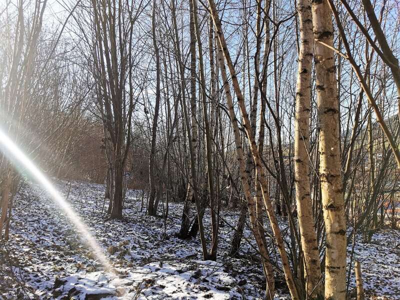 Landwirtschaftsgrund in Sankt Barbara im Mürztal - Bild 4