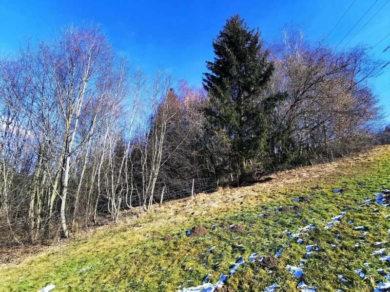 Landwirtschaftsgrund in Sankt Barbara im Mürztal - Bild 5