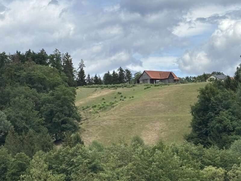 Landwirtschaftsgrund in Stallhofen - Bild 2 Landwirtschaftsgrund in Stallhofen - Bild 2