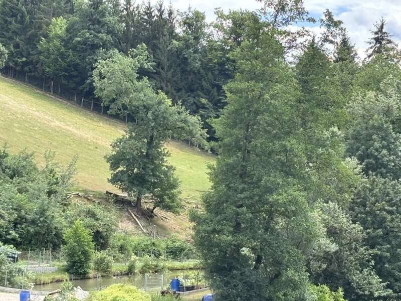 Landwirtschaftsgrund in Stallhofen - Bild 6 Landwirtschaftsgrund in Stallhofen - Bild 6