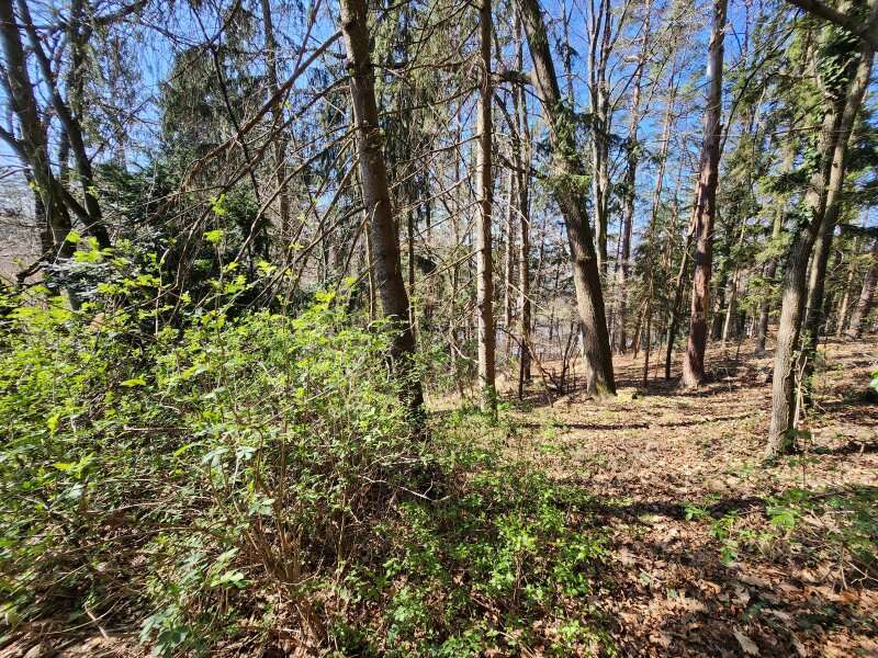 Einfamilienhaus in Graz - Bild 8