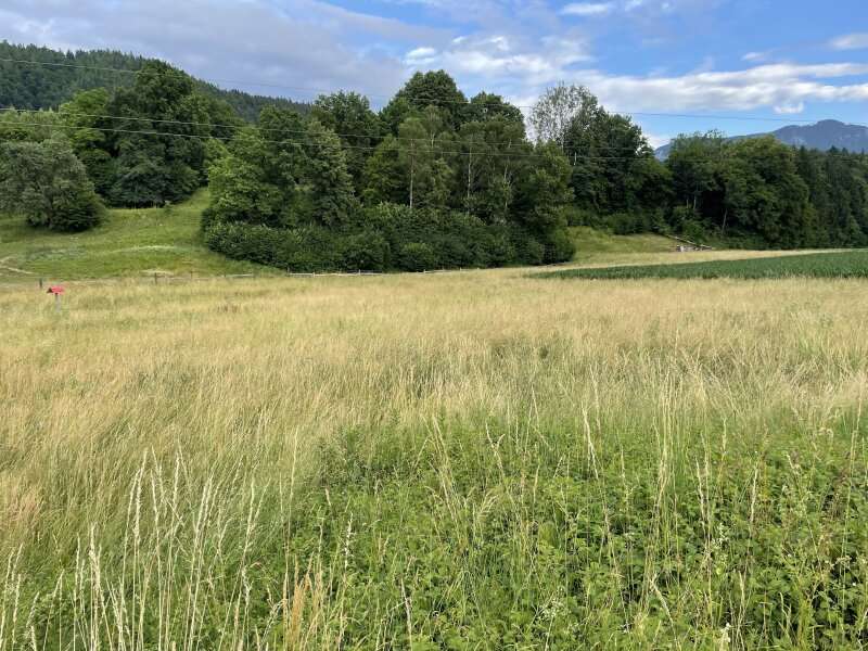 Bauernhaus in Möchling - Bild 3 Bauernhaus in Möchling - Bild 3