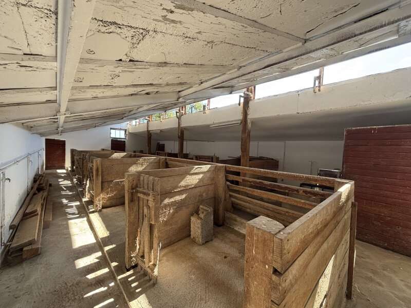 Einfamilienhaus in Deutsch Goritz - Bild 16