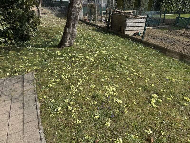 Haus in Pichling bei Köflach - Bild 2 Haus in Pichling bei Köflach - Bild 2