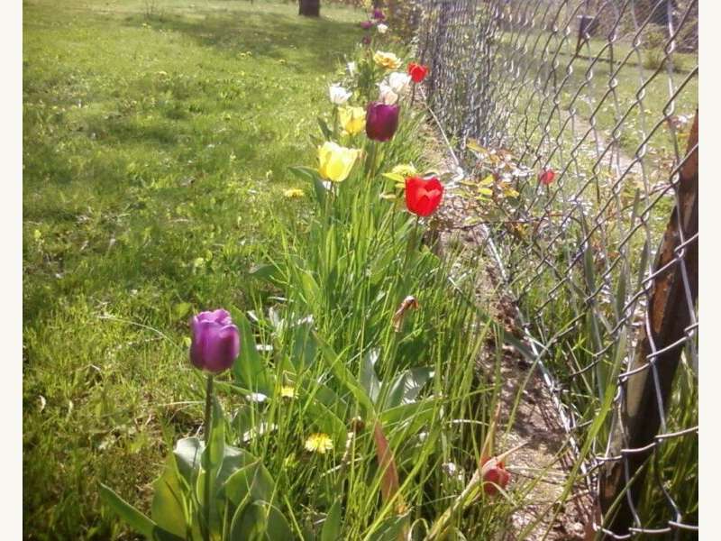 Einfamilienhaus in Judendorf - Bild 6