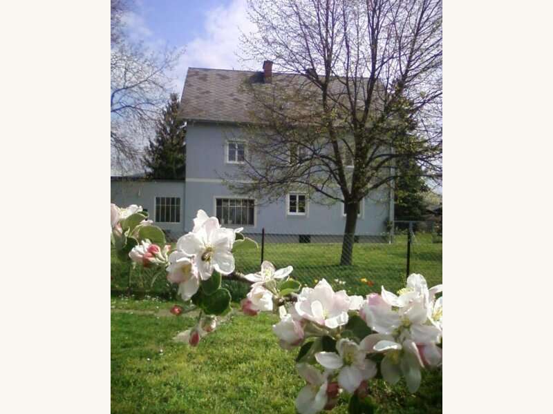 Einfamilienhaus in Judendorf - Bild 9