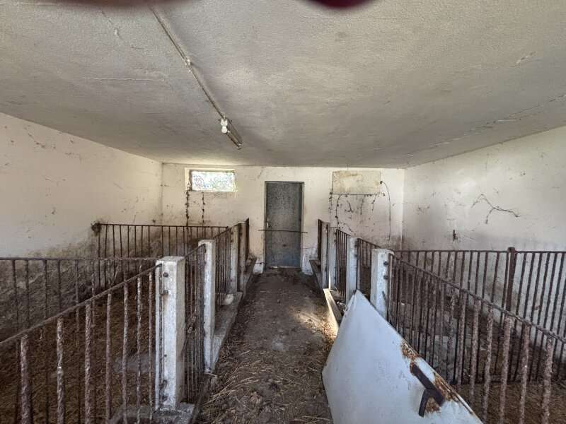 Bauernhaus in Feldbach - Bild 12