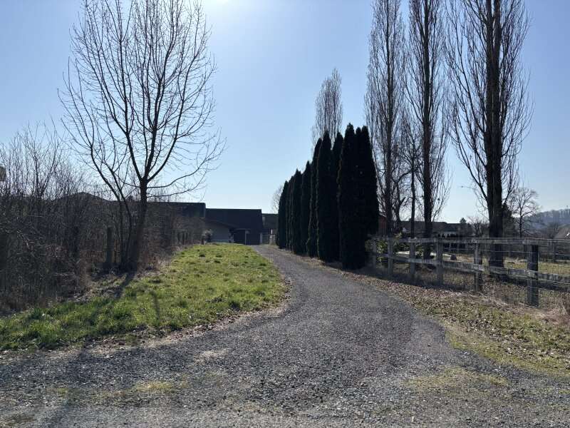 Bauernhaus in Stegersbach - Bild 15